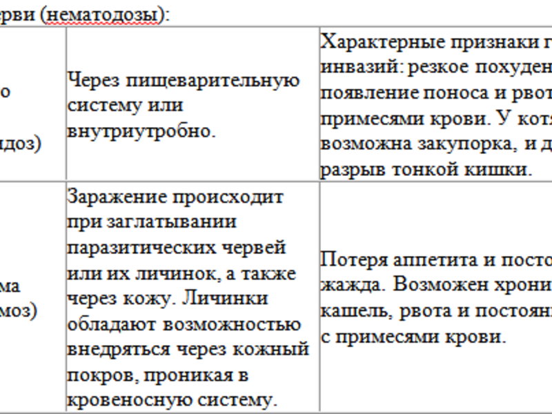 Паразиты-глисты у кошек - разные виды и описание.