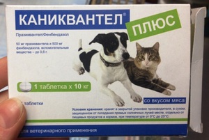 Каниквантел плюс -поможет провести лечение и профилактику глистов у собак и кошек.