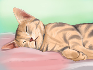 Кот заболел, лежит, ничего не ест, срочно нужно к ветеринару!