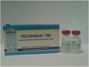 Стригущий лишай у собаки