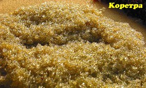 Живые корма для рыбок можно купить в специализированных магазинах