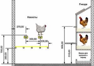 Обустройство курятника - примерная схема