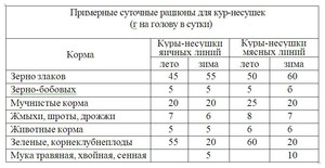 Особенности правильного кормления кур несушек в домашних условиях