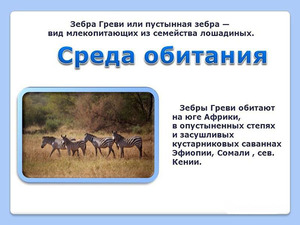 Где живут зебры и какие условия им нужны для жизни?