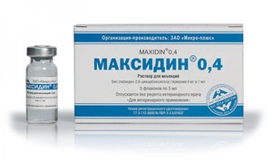 Максидин для собак и кошек: инструкция по применению