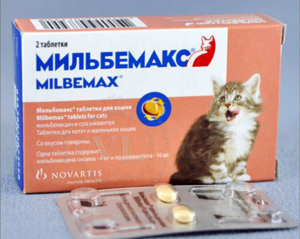 Противогельминтный препарат для кошек - профилактика и лечение