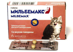 Мильбемакс для котят - препарат для малышей