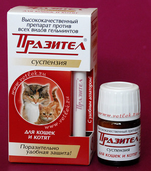 Суспензия Празител для кошек и котят: инструкция по применению