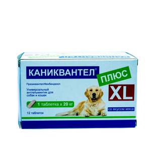 Как принимать каниквантел