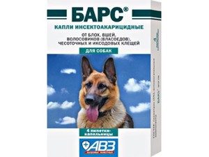 Как избавить собаку от клещей