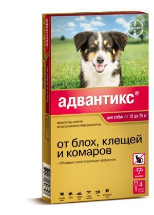 Борьба с клещами и блохами у собаки