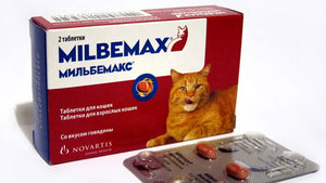 Мильбемакс для котят, кошек и собак: инструкция по применению, отзывы