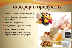 Какие из продуктов питания богаты фосфором