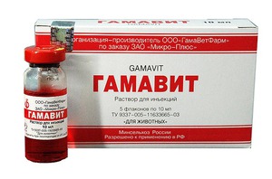 Инструкция по применению витама