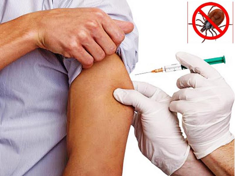 Прививка от клещевого энцефалита: особенности вакцинации